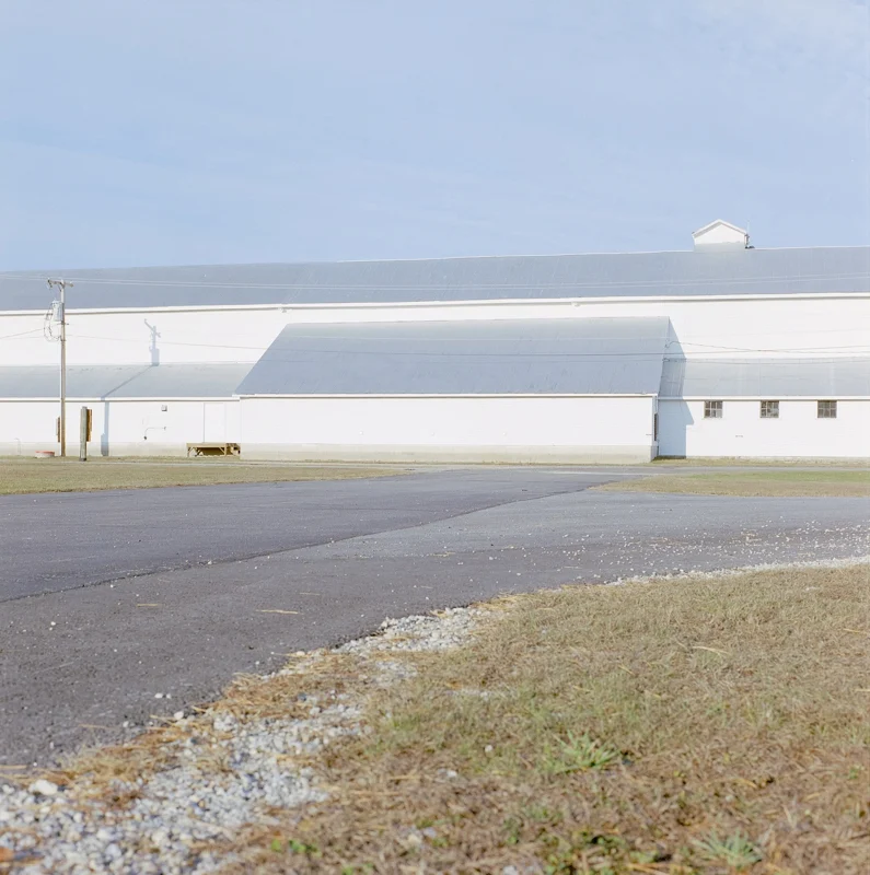 The Fryeburg Fair — photograph 6